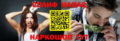 прущие грибы Ирбит