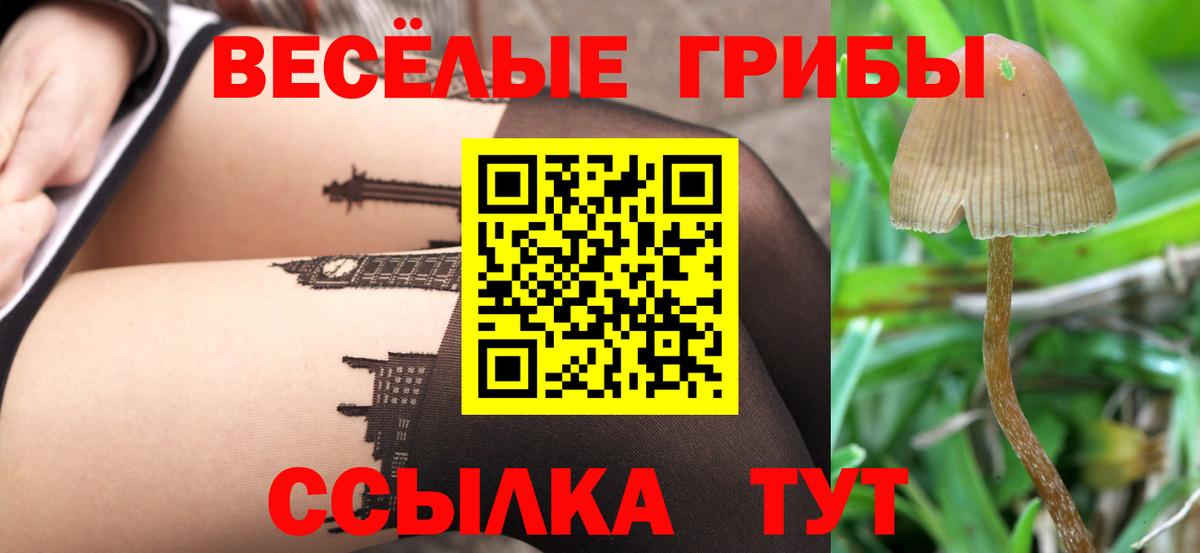 Псилоцибиновые грибы Psilocybine cubensis  Галлюциногенные грибы Psilocybine cubensis  Сыктывкар  Вход с VPN 